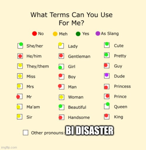 lol | BI DISASTER | image tagged in pronouns sheet | made w/ Imgflip meme maker