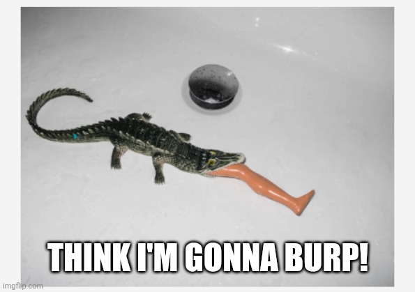 THINK I'M GONNA BURP! | image tagged in crocs | made w/ Imgflip meme maker