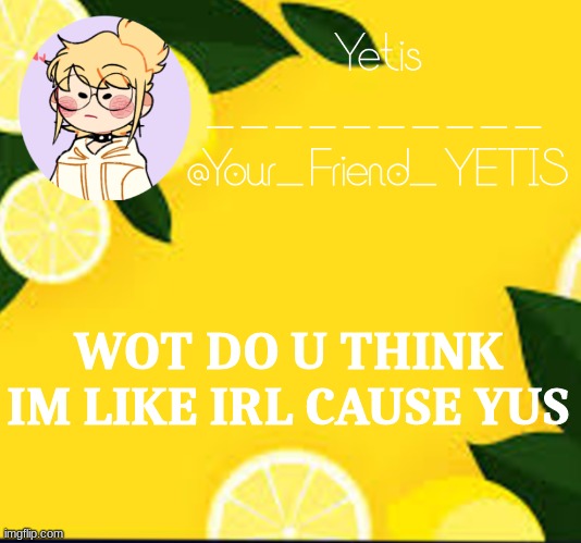 ya | WOT DO U THINK IM LIKE IRL CAUSE YUS | image tagged in yetis and lemons | made w/ Imgflip meme maker