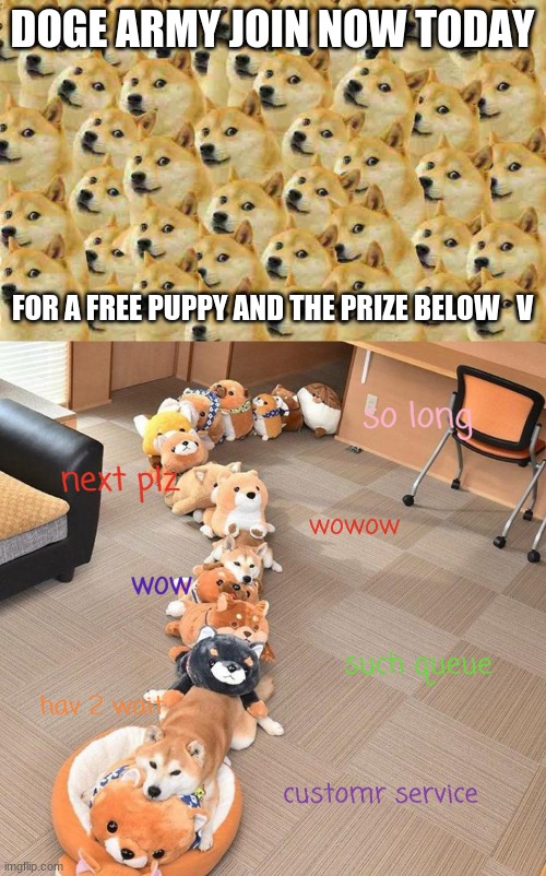 doge,aww,join the doge army | DOGE ARMY JOIN NOW TODAY; FOR A FREE PUPPY AND THE PRIZE BELOW   V | image tagged in woof | made w/ Imgflip meme maker