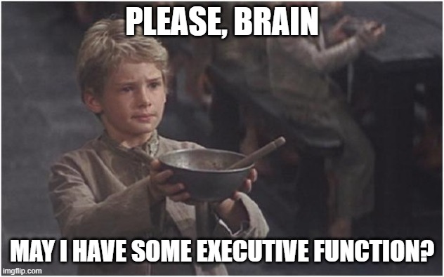 Please, brain |  PLEASE, BRAIN; MAY I HAVE SOME EXECUTIVE FUNCTION? | image tagged in oliver twist please sir | made w/ Imgflip meme maker