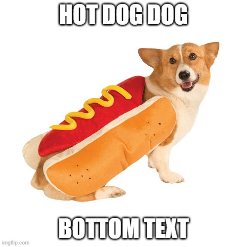 Hot dog dog | HOT DOG DOG; BOTTOM TEXT | image tagged in hot dogs | made w/ Imgflip meme maker