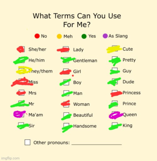 Heehee | image tagged in pronouns sheet | made w/ Imgflip meme maker