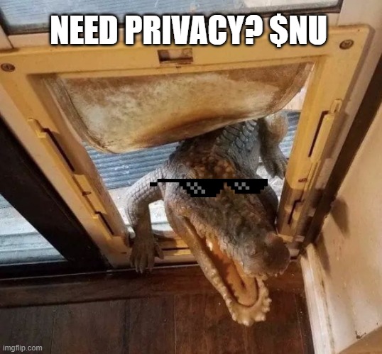 $NU Data Privacy @NuCypher | NEED PRIVACY? $NU | image tagged in gater visit | made w/ Imgflip meme maker