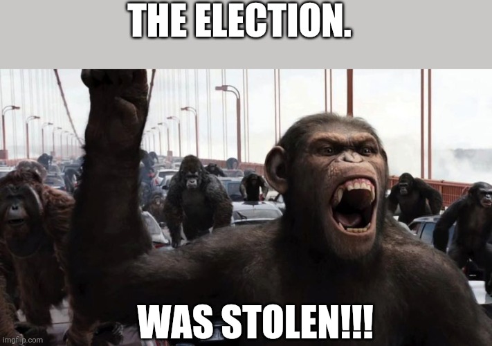 Trumpanzee!! | THE ELECTION. WAS STOLEN!!! | image tagged in donald trump,conservatives,election 2020,election fraud | made w/ Imgflip meme maker
