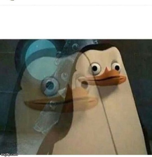 Madagascar Meme | image tagged in madagascar meme | made w/ Imgflip meme maker