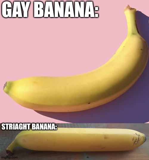 Haha get it and not posting to be mean | GAY BANANA:; STRIAGHT BANANA: | made w/ Imgflip meme maker