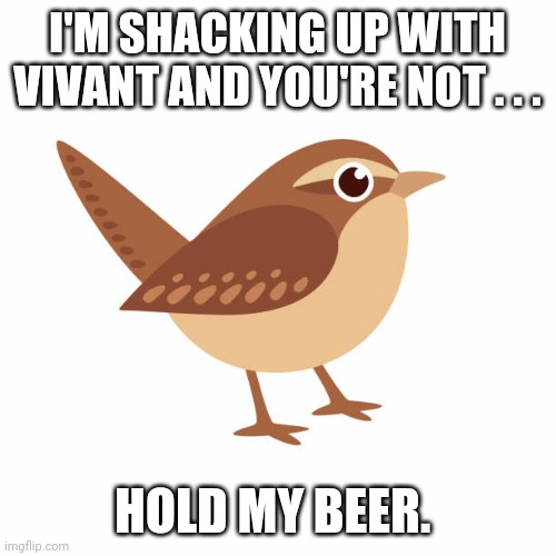 I'M SHACKING UP WITH VIVANT AND YOU'RE NOT . . . HOLD MY BEER. | made w/ Imgflip meme maker