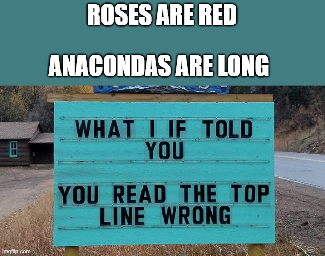 Read carefully | ROSES ARE RED; ANACONDAS ARE LONG | image tagged in roses are red,funny,rhymes | made w/ Imgflip meme maker