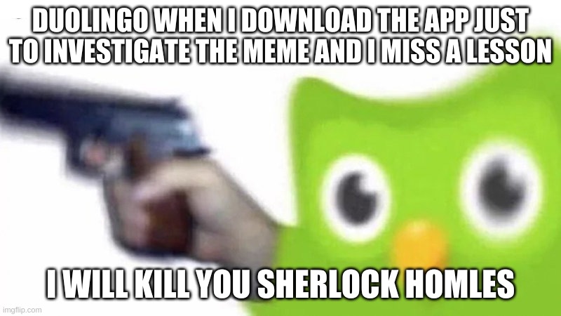 duolingo logic 2 | DUOLINGO WHEN I DOWNLOAD THE APP JUST TO INVESTIGATE THE MEME AND I MISS A LESSON; I WILL KILL YOU SHERLOCK HOMLES | image tagged in duolingo,help,killer,bird,omg,duolingo will kill me | made w/ Imgflip meme maker