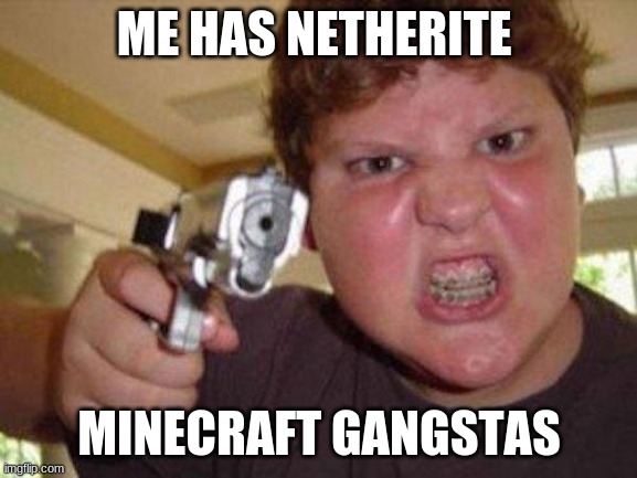 minecrafter | ME HAS NETHERITE; MINECRAFT GANGSTAS | image tagged in minecrafter | made w/ Imgflip meme maker