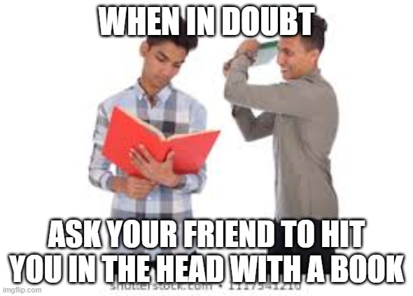 besties do this | WHEN IN DOUBT; ASK YOUR FRIEND TO HIT YOU IN THE HEAD WITH A BOOK | image tagged in book hit,yay,best friends | made w/ Imgflip meme maker