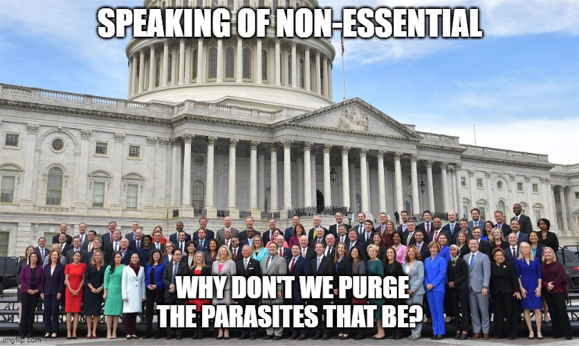 Congress Critters The parasites that be. | SPEAKING OF NON-ESSENTIAL; WHY DON'T WE PURGE THE PARASITES THAT BE? | image tagged in congress critters the parasites that be | made w/ Imgflip meme maker