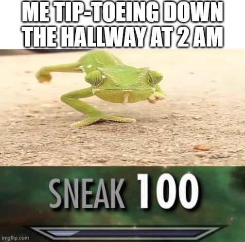 i still do this XD | ME TIP-TOEING DOWN THE HALLWAY AT 2 AM | image tagged in sneak 100 | made w/ Imgflip meme maker