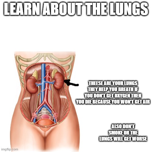 #takecareofyourlungs | LEARN ABOUT THE LUNGS; THEESE ARE YOUR LUNGS THEY HELP YOU BREATH IF YOU DON'T GET OXYGEN THEN YOU DIE BECAUSE YOU WON'T GET AIR; ALSO DON'T SMOKE OR THE LUNGS WILL GET WORSE | made w/ Imgflip meme maker