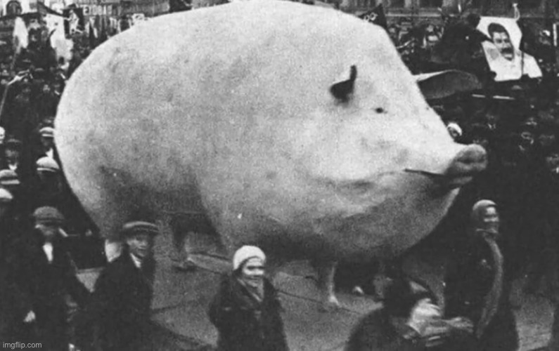Is this a big or a pig | made w/ Imgflip meme maker