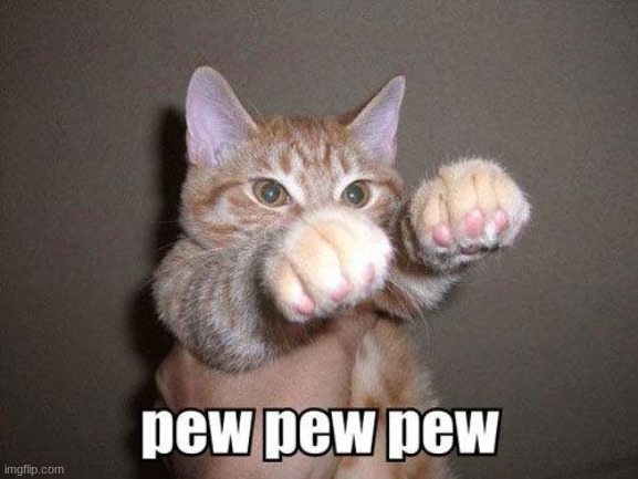 ya | image tagged in pew pew cat | made w/ Imgflip meme maker