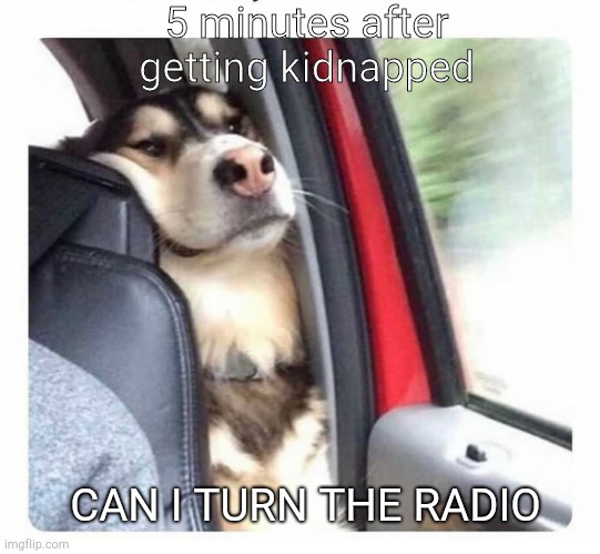 5 minutes after getting kidnapped; CAN I TURN THE RADIO | image tagged in kidnapping,funny | made w/ Imgflip meme maker