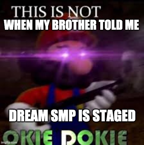 THIS IS NOT OKI DOKI | WHEN MY BROTHER TOLD ME; DREAM SMP IS STAGED | image tagged in this is not okie dokie | made w/ Imgflip meme maker