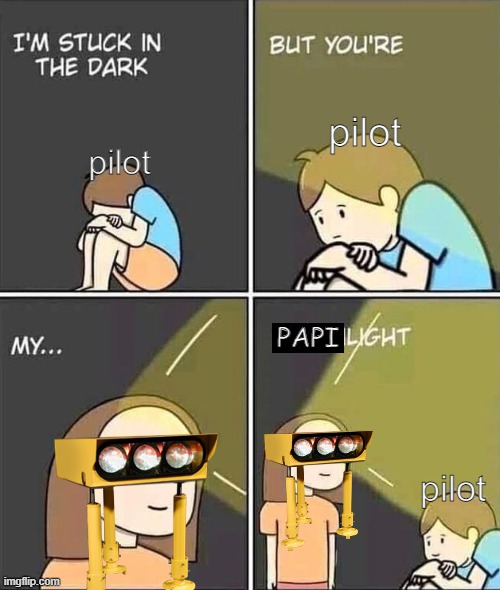 Aviation memes | pilot; pilot; PAPI; pilot | image tagged in aviation,memes | made w/ Imgflip meme maker