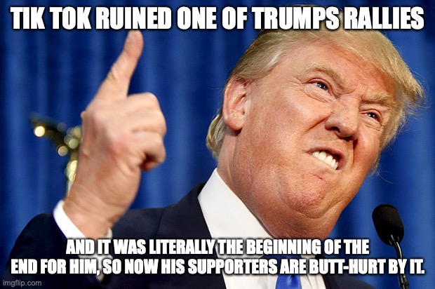 Donald Trump | TIK TOK RUINED ONE OF TRUMPS RALLIES AND IT WAS LITERALLY THE BEGINNING OF THE END FOR HIM, SO NOW HIS SUPPORTERS ARE BUTT-HURT BY IT. | image tagged in donald trump | made w/ Imgflip meme maker