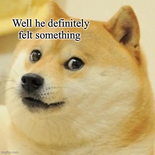 Doge Meme | Well he definitely felt something | image tagged in memes,doge | made w/ Imgflip meme maker