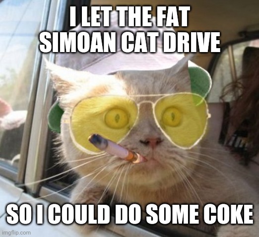 Fear And Loathing Cat | I LET THE FAT SIMOAN CAT DRIVE; SO I COULD DO SOME COKE | image tagged in memes,fear and loathing cat | made w/ Imgflip meme maker