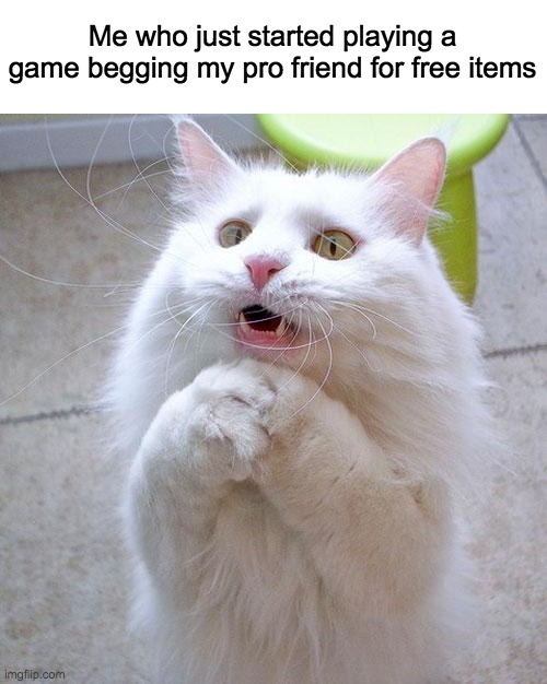 Who else does this? | Me who just started playing a game begging my pro friend for free items | image tagged in begging cat,memes,gaming,lol,please help me,gifts | made w/ Imgflip meme maker