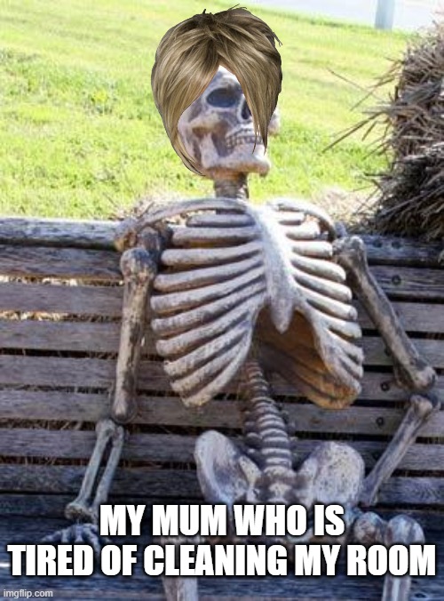 mum memes | MY MUM WHO IS TIRED OF CLEANING MY ROOM | image tagged in memes,waiting skeleton | made w/ Imgflip meme maker