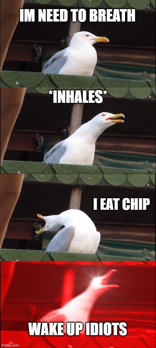 food | IM NEED TO BREATH; *INHALES*; I EAT CHIP; WAKE UP IDIOTS | image tagged in memes,inhaling seagull | made w/ Imgflip meme maker