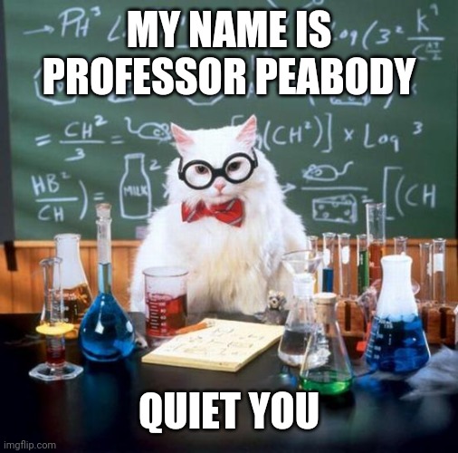 Chemistry Cat | MY NAME IS PROFESSOR PEABODY; QUIET YOU | image tagged in memes,chemistry cat | made w/ Imgflip meme maker