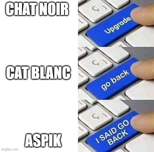~mIRacOulOuS~ | CHAT NOIR; CAT BLANC; ASPIK | image tagged in i said go back | made w/ Imgflip meme maker