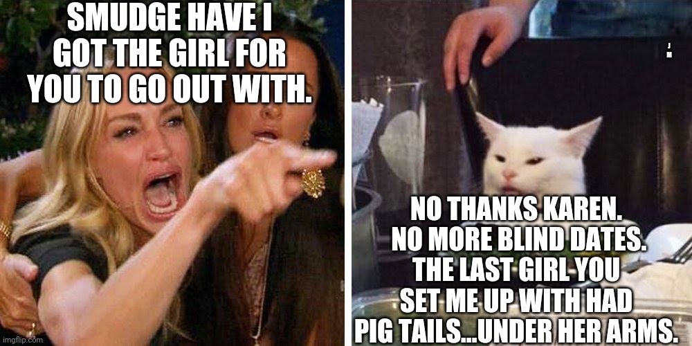 Smudge the cat | SMUDGE HAVE I GOT THE GIRL FOR YOU TO GO OUT WITH. J M; NO THANKS KAREN.  NO MORE BLIND DATES. THE LAST GIRL YOU SET ME UP WITH HAD PIG TAILS...UNDER HER ARMS. | image tagged in smudge the cat | made w/ Imgflip meme maker