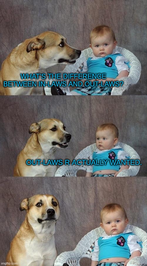 the cringe xd | WHAT'S THE DIFFERENCE BETWEEN IN-LAWS AND OUT-LAWS? OUT-LAWS R ACTUALLY WANTED. | image tagged in memes,dad joke dog | made w/ Imgflip meme maker