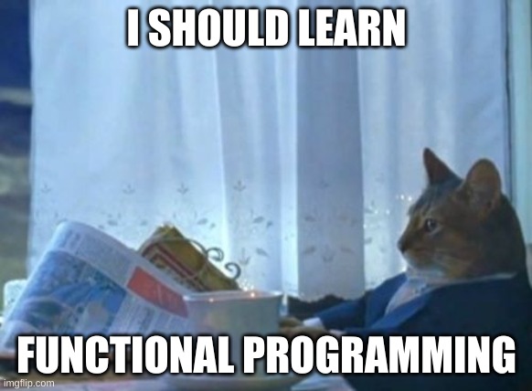 I should learn functional programming meme