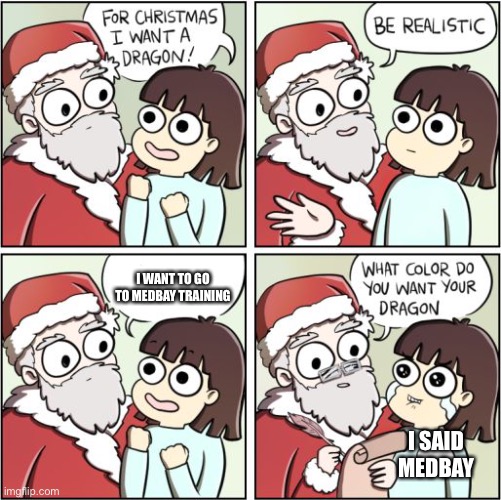 I want to go to that training | I WANT TO GO TO MEDBAY TRAINING; I SAID MEDBAY | image tagged in for christmas i want a dragon | made w/ Imgflip meme maker