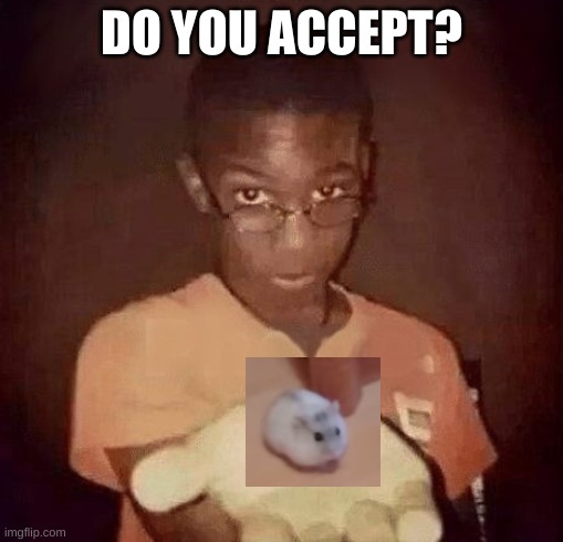 hamser | DO YOU ACCEPT? | image tagged in hampster,do you accept | made w/ Imgflip meme maker