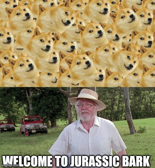 WELCOME TO JURASSIC BARK | image tagged in memes,multi doge,welcome to jurassic park | made w/ Imgflip meme maker