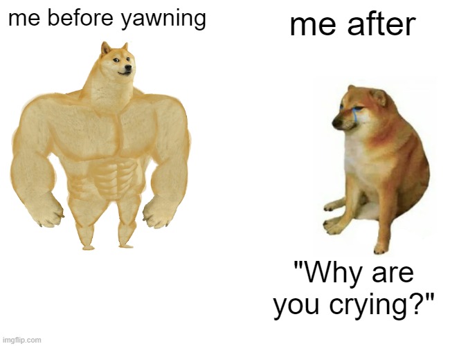 Buff Doge vs. Cheems | me before yawning; me after; "Why are you crying?" | image tagged in memes,buff doge vs cheems | made w/ Imgflip meme maker