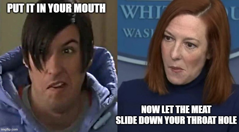 White House Press | PUT IT IN YOUR MOUTH; NOW LET THE MEAT SLIDE DOWN YOUR THROAT HOLE | image tagged in politics,democrats,liars,incompetence | made w/ Imgflip meme maker