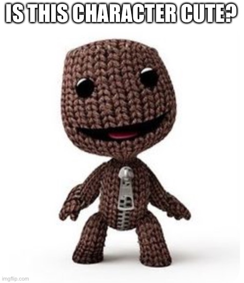 Sackboy just an sackboy | IS THIS CHARACTER CUTE? | image tagged in sackboy just an sackboy | made w/ Imgflip meme maker