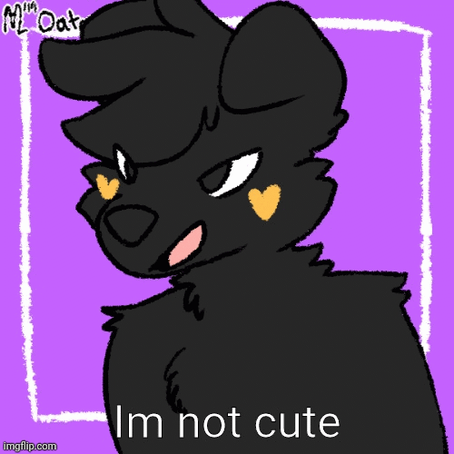 Stop calling me cute, im not Imgflip