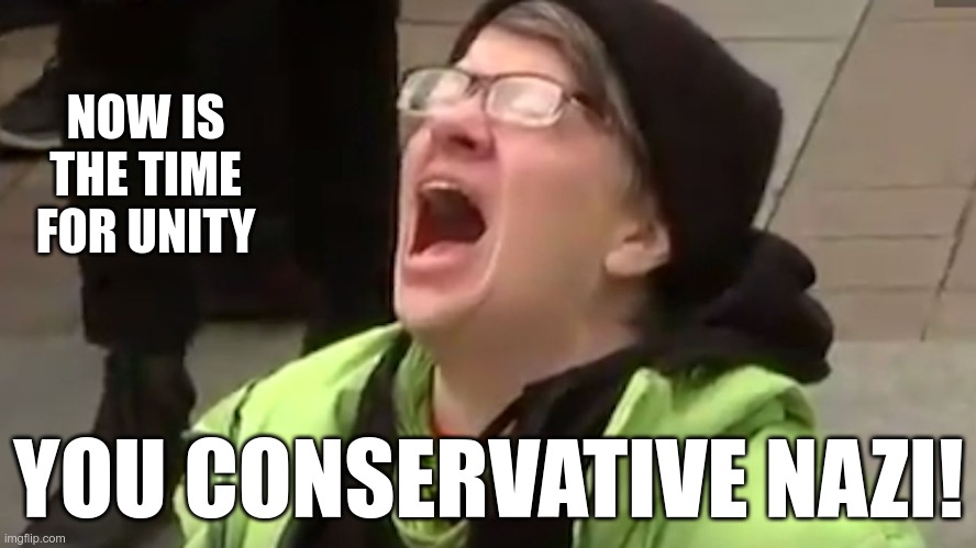 I don't think they know what the word means... | NOW IS THE TIME FOR UNITY; YOU CONSERVATIVE NAZI! | image tagged in screaming liberal | made w/ Imgflip meme maker