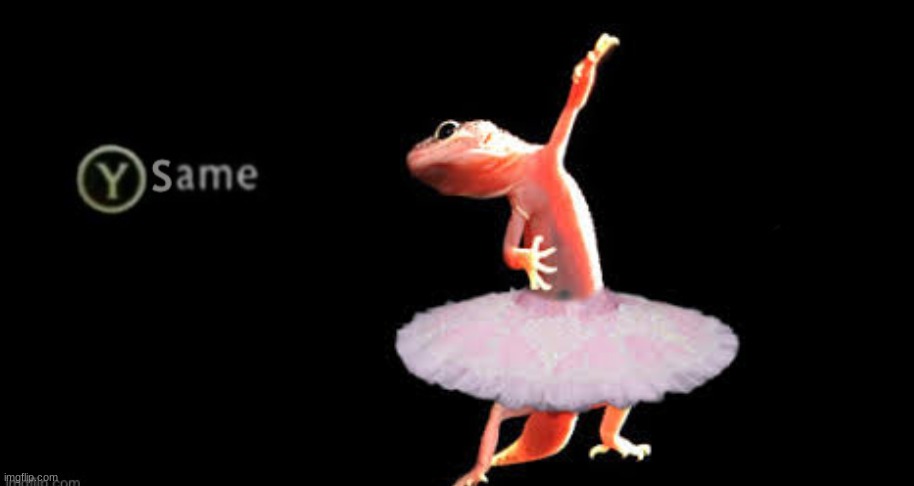 Custom same | image tagged in custom same | made w/ Imgflip meme maker