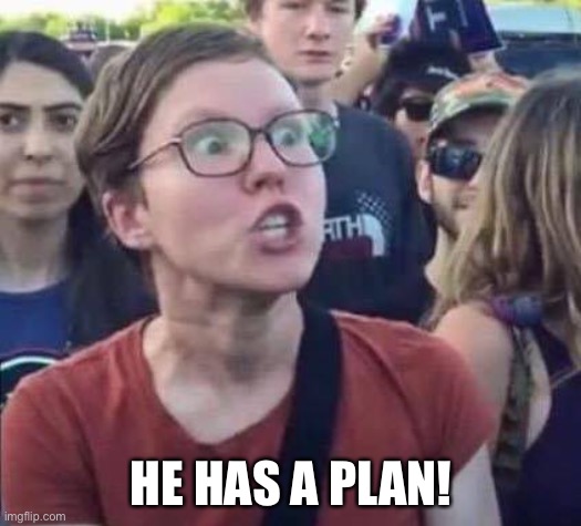 Angry Liberal | HE HAS A PLAN! | image tagged in angry liberal | made w/ Imgflip meme maker