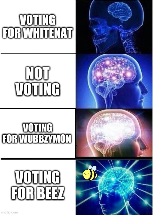 vote beez or I break le kneez | VOTING FOR WHITENAT; NOT VOTING; VOTING FOR WUBBZYMON; VOTING FOR BEEZ | image tagged in memes,expanding brain | made w/ Imgflip meme maker