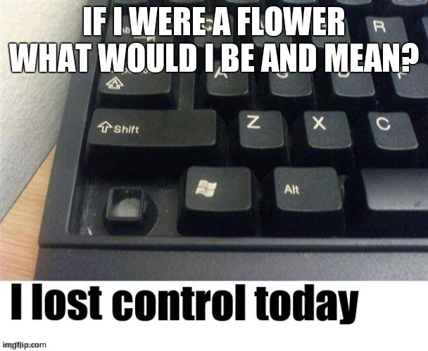 I lost control today | IF I WERE A FLOWER WHAT WOULD I BE AND MEAN? | image tagged in i lost control today | made w/ Imgflip meme maker