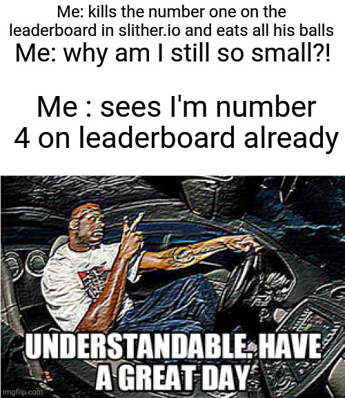 Is slither.io still popular | Me: kills the number one on the leaderboard in slither.io and eats all his balls; Me: why am I still so small?! Me : sees I'm number 4 on leaderboard already | image tagged in understandable have a great day | made w/ Imgflip meme maker