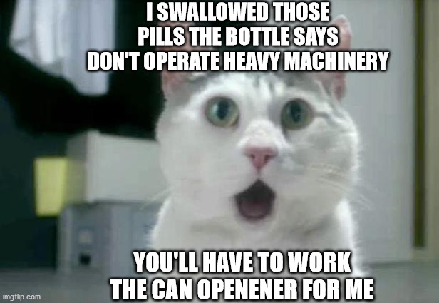 OMG Cat | I SWALLOWED THOSE PILLS THE BOTTLE SAYS DON'T OPERATE HEAVY MACHINERY; YOU'LL HAVE TO WORK THE CAN OPENENER FOR ME | image tagged in memes,omg cat | made w/ Imgflip meme maker