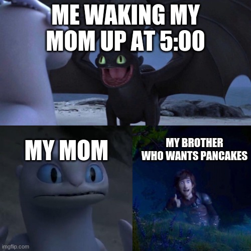 night fury | ME WAKING MY MOM UP AT 5:00; MY BROTHER WHO WANTS PANCAKES; MY MOM | image tagged in night fury | made w/ Imgflip meme maker